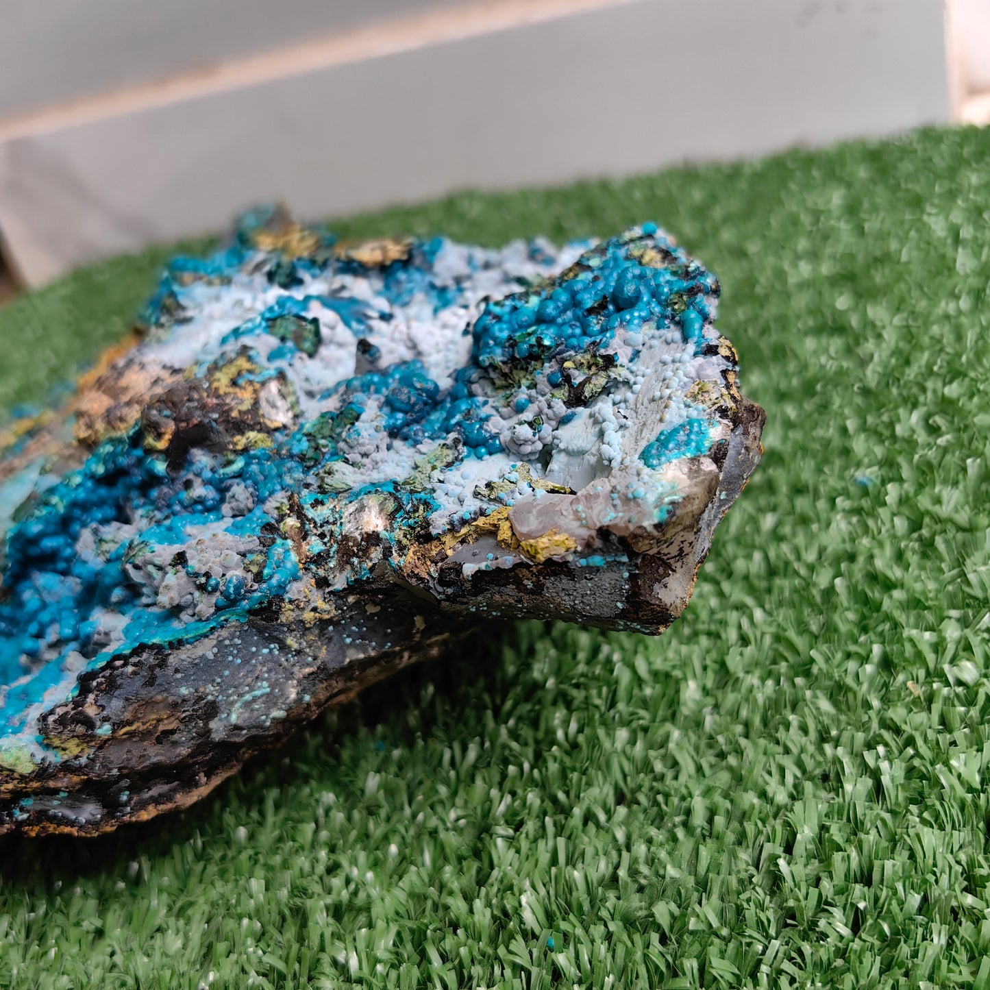 Chrysocolla on Quartz from mine tentadora