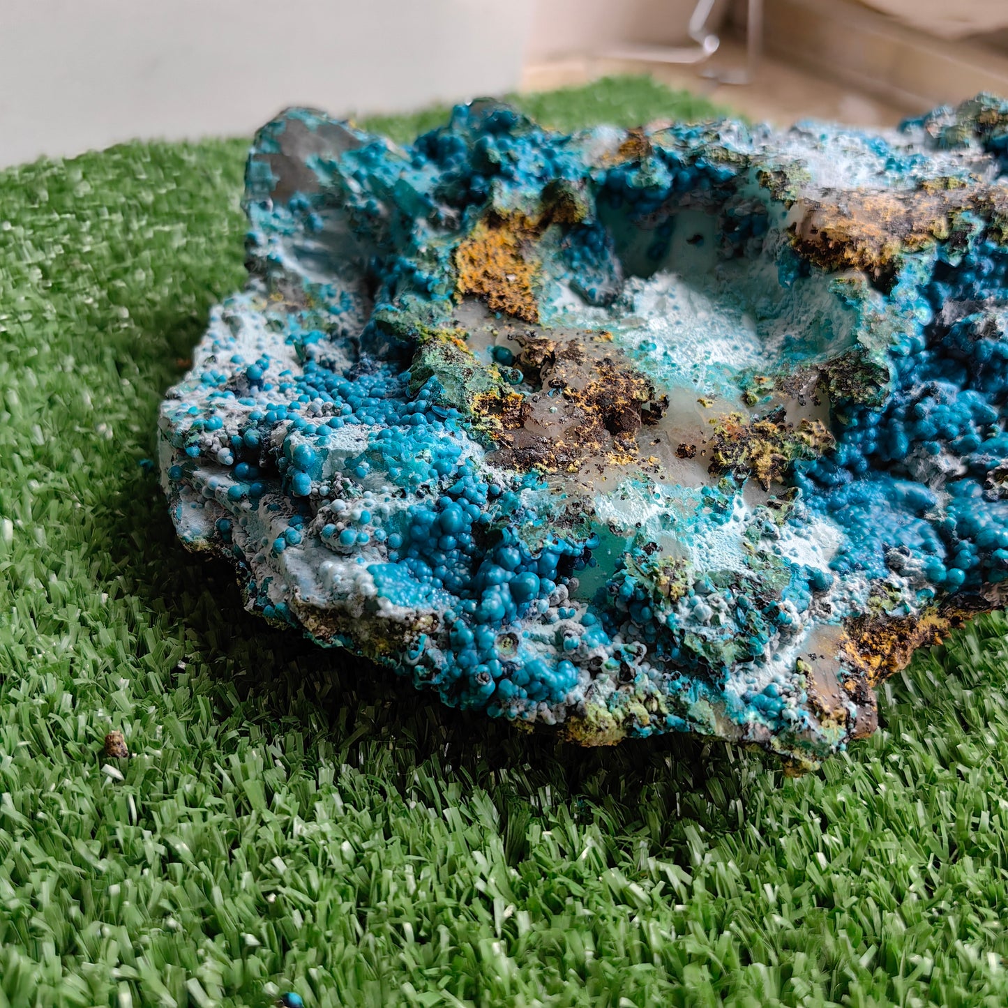 Chrysocolla on Quartz from mine tentadora