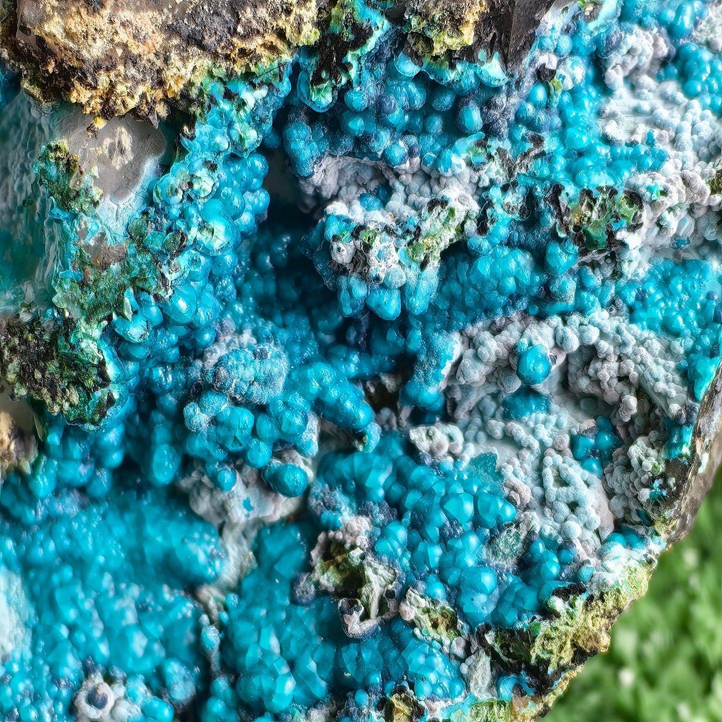 Chrysocolla on Quartz from mine tentadora