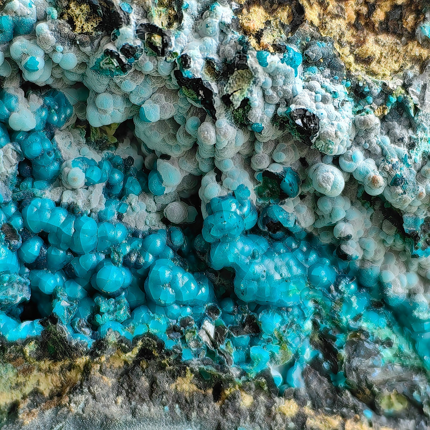 Chrysocolla on Quartz from mine tentadora