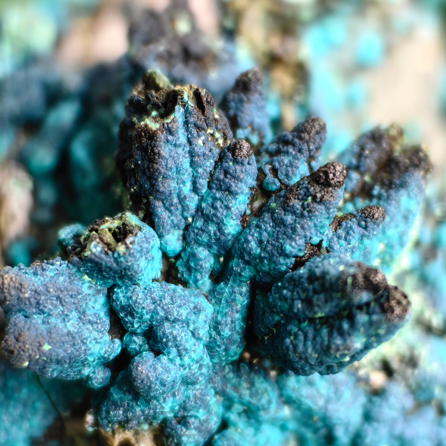 Chrysocolla on Quartz from mine tentadora