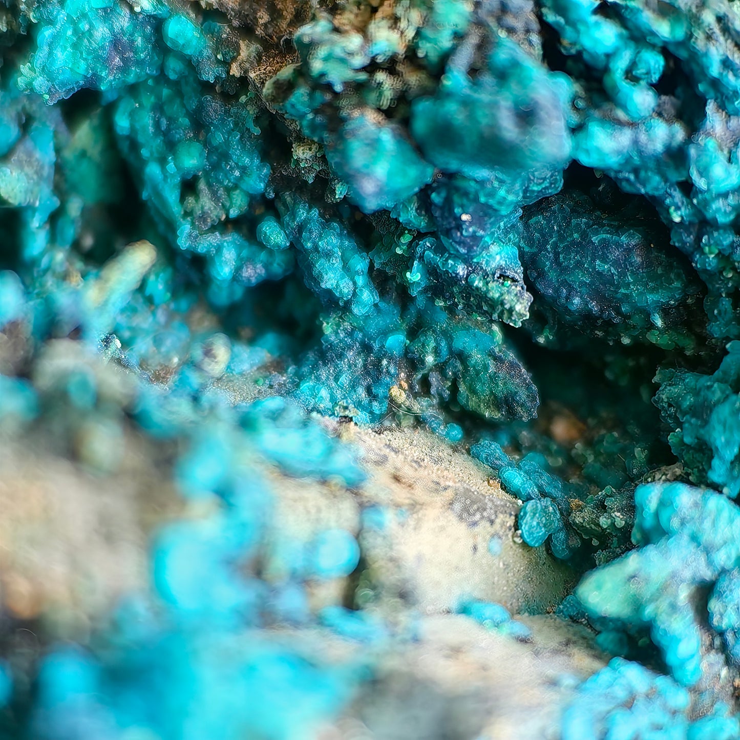 Chrysocolla on Quartz from mine tentadora