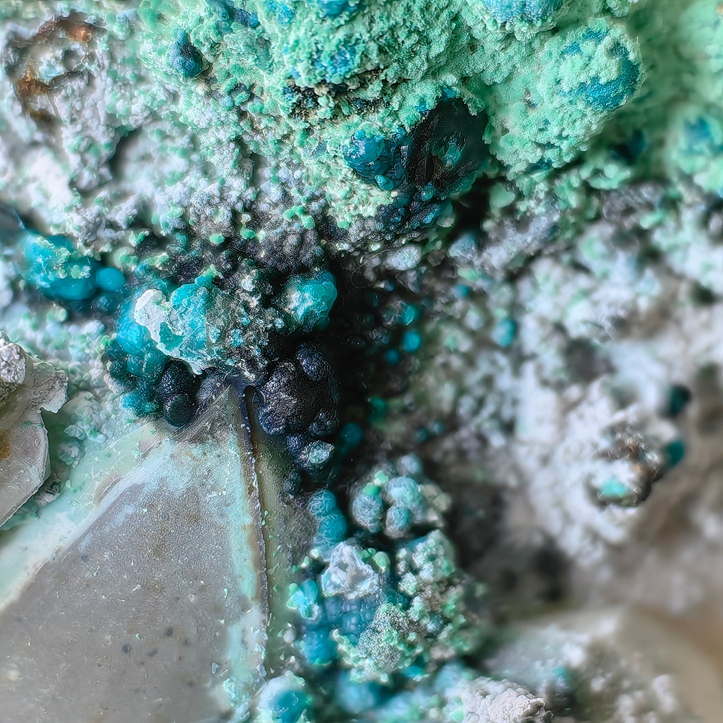 Chrysocolla on Quartz from mine tentadora