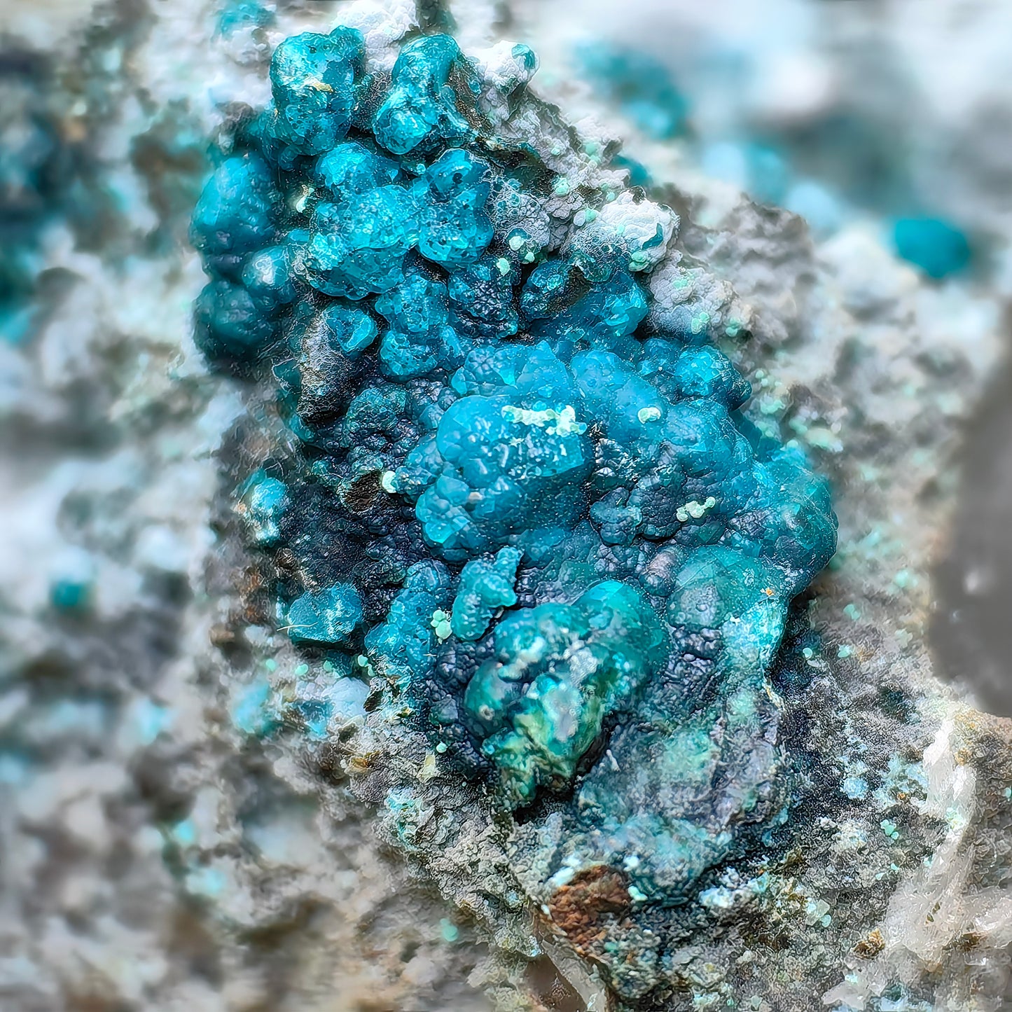 Chrysocolla on Quartz from mine tentadora