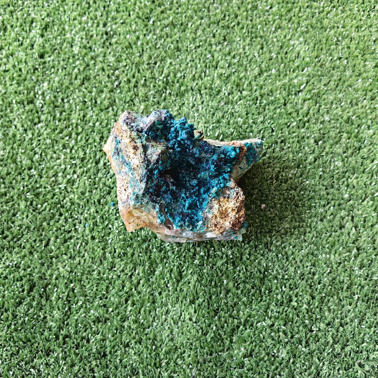 Chrysocolla on Quartz from mine tentadora
