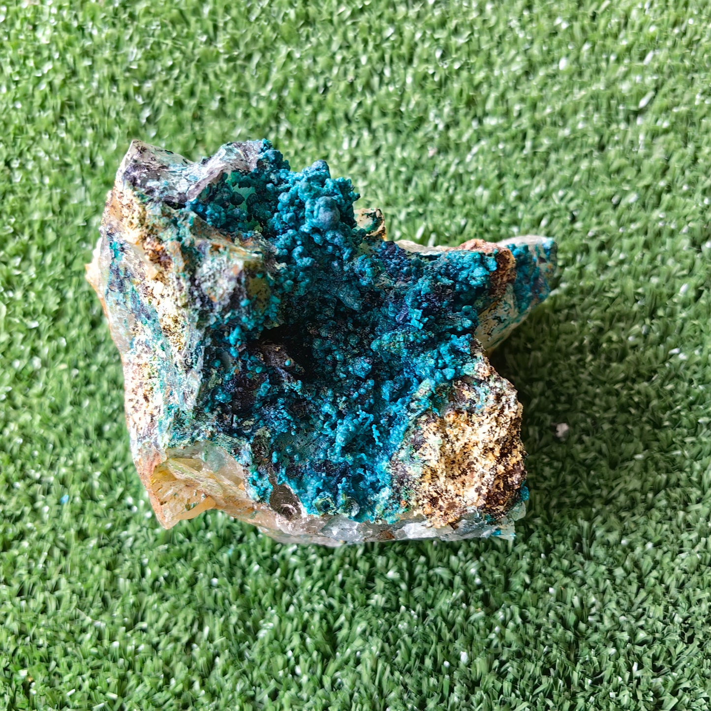 Chrysocolla on Quartz from mine tentadora