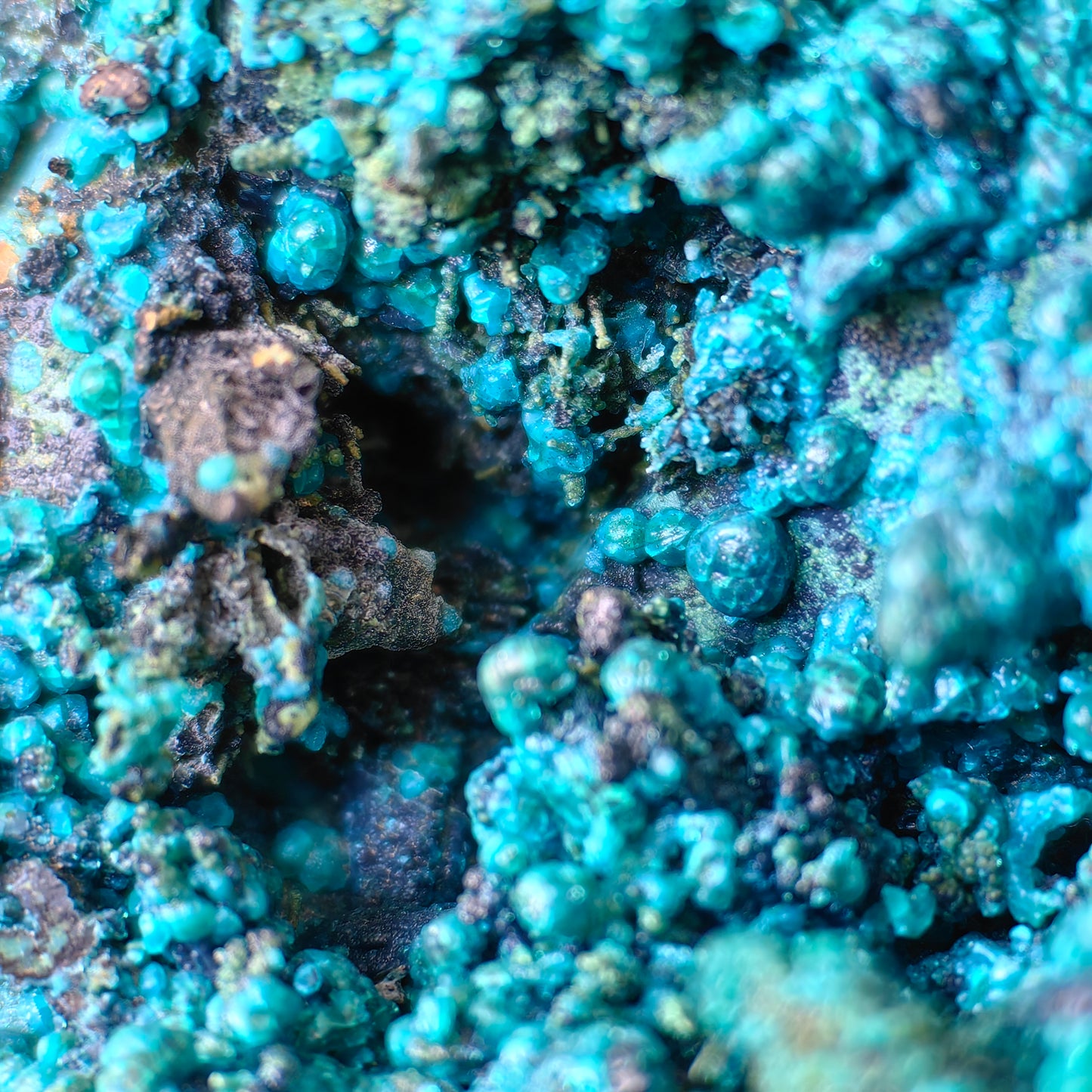 Chrysocolla on Quartz from mine tentadora