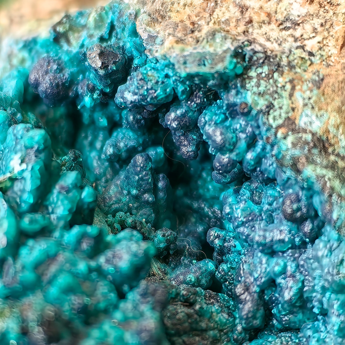 Chrysocolla on Quartz from mine tentadora