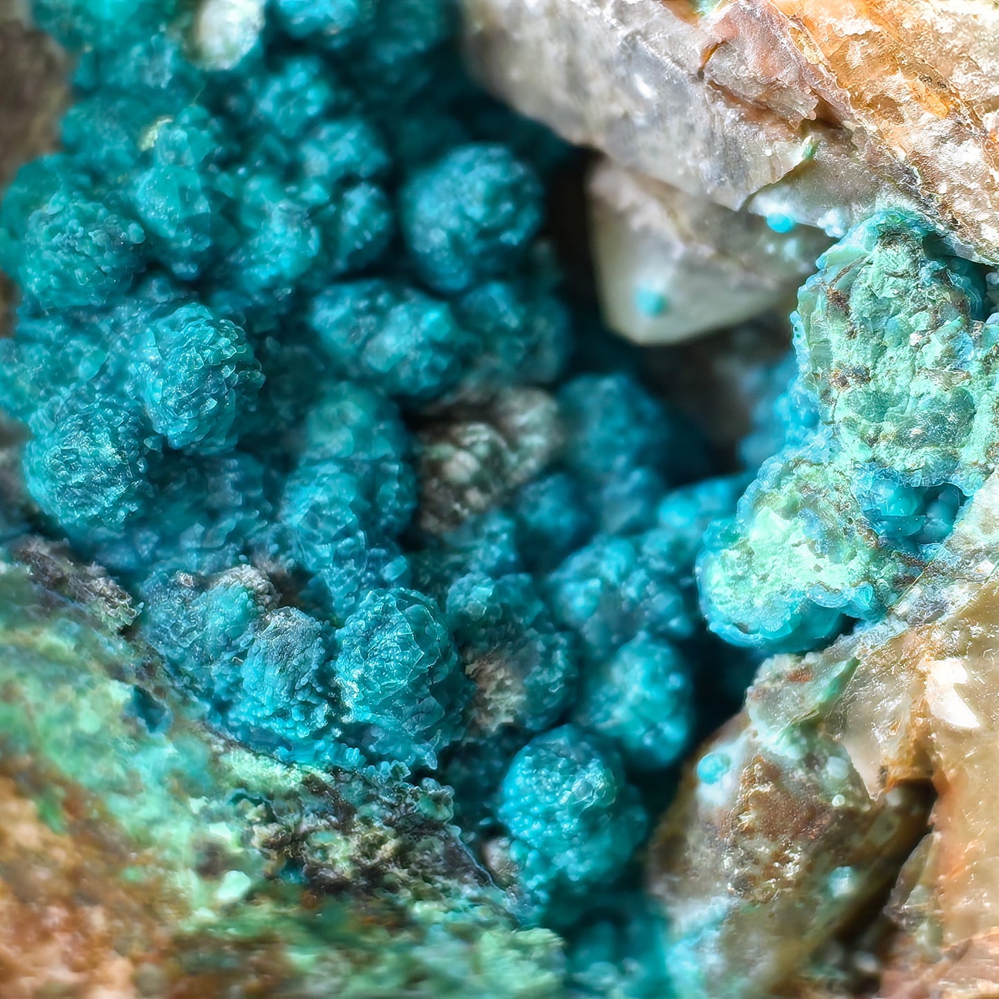 Chrysocolla on Quartz from mine tentadora