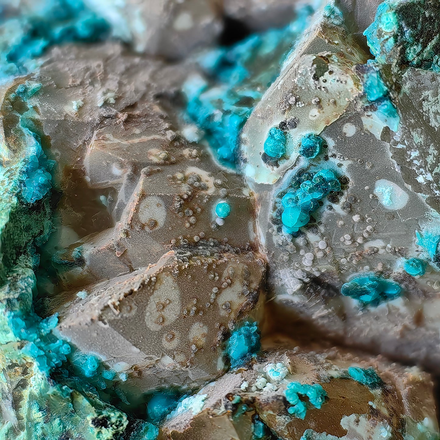 Chrysocolla on Quartz from mine tentadora