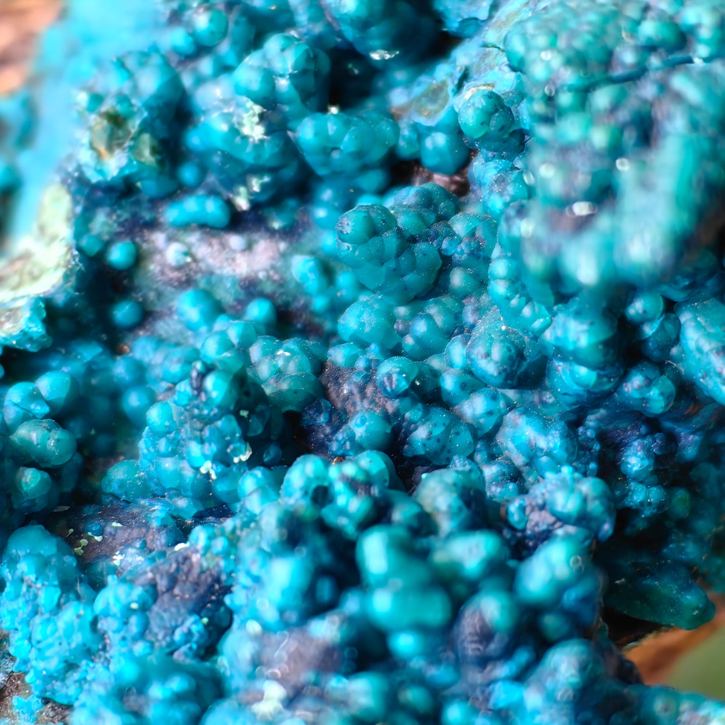 Chrysocolla on Quartz from mine tentadora