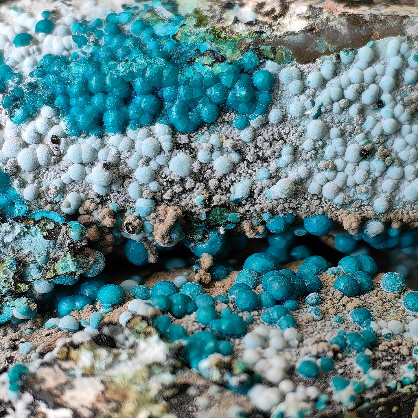 Chrysocolla on Quartz from mine tentadora