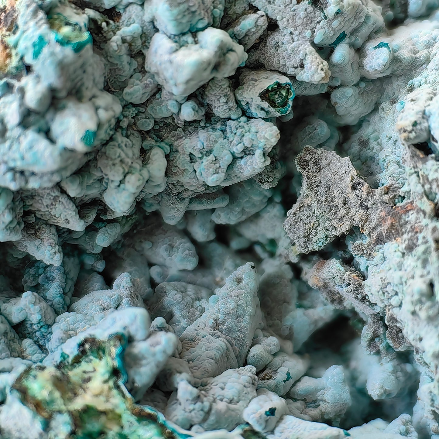 Chrysocolla on Quartz from mine tentadora