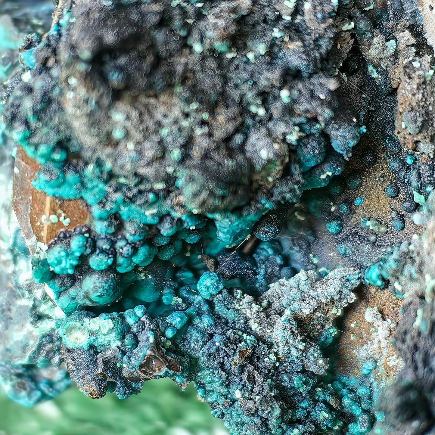 Chrysocolla on Quartz from mine tentadora