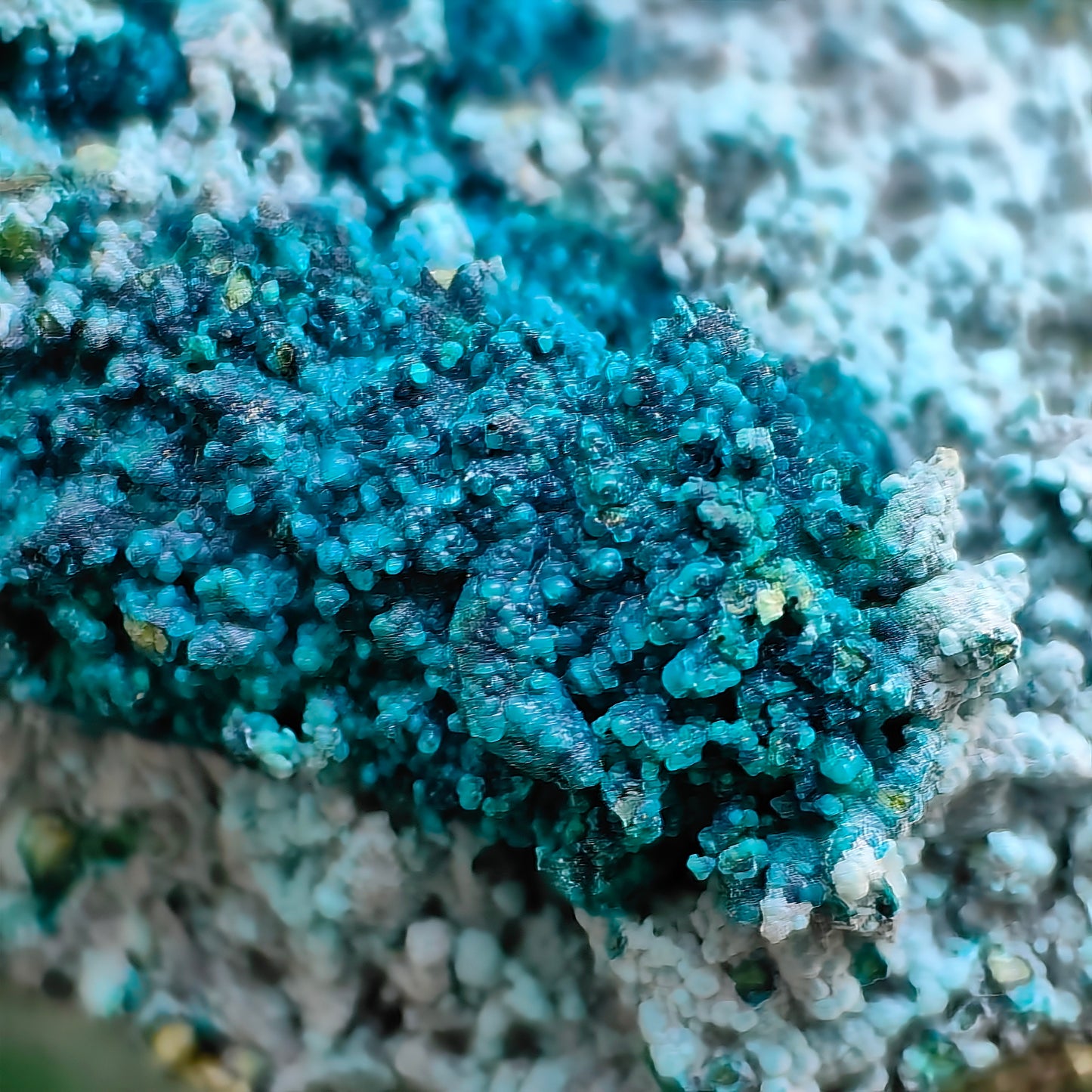 Chrysocolla on Quartz from mine tentadora
