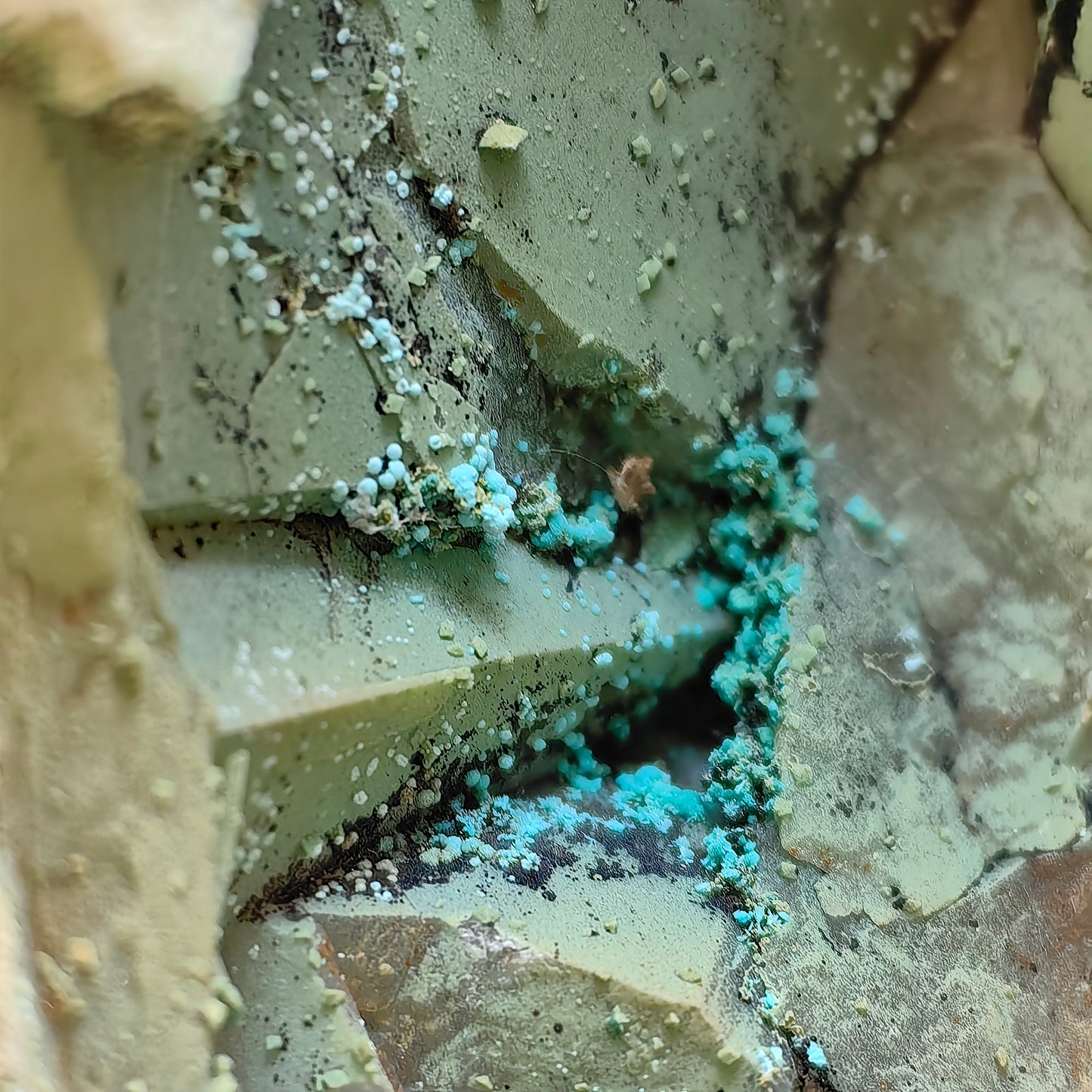 Chrysocolla on Quartz from mine tentadora