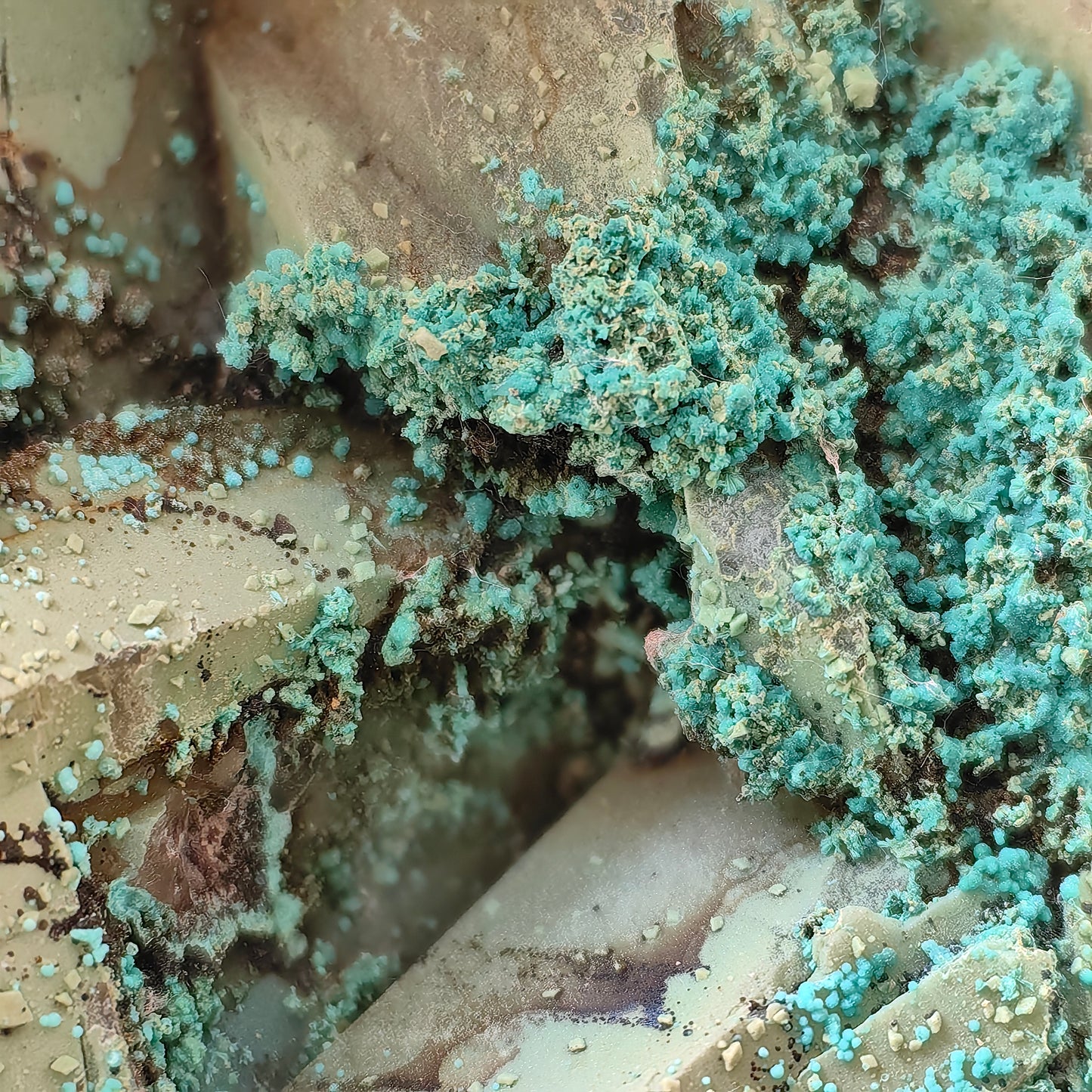 Chrysocolla on Quartz from mine tentadora