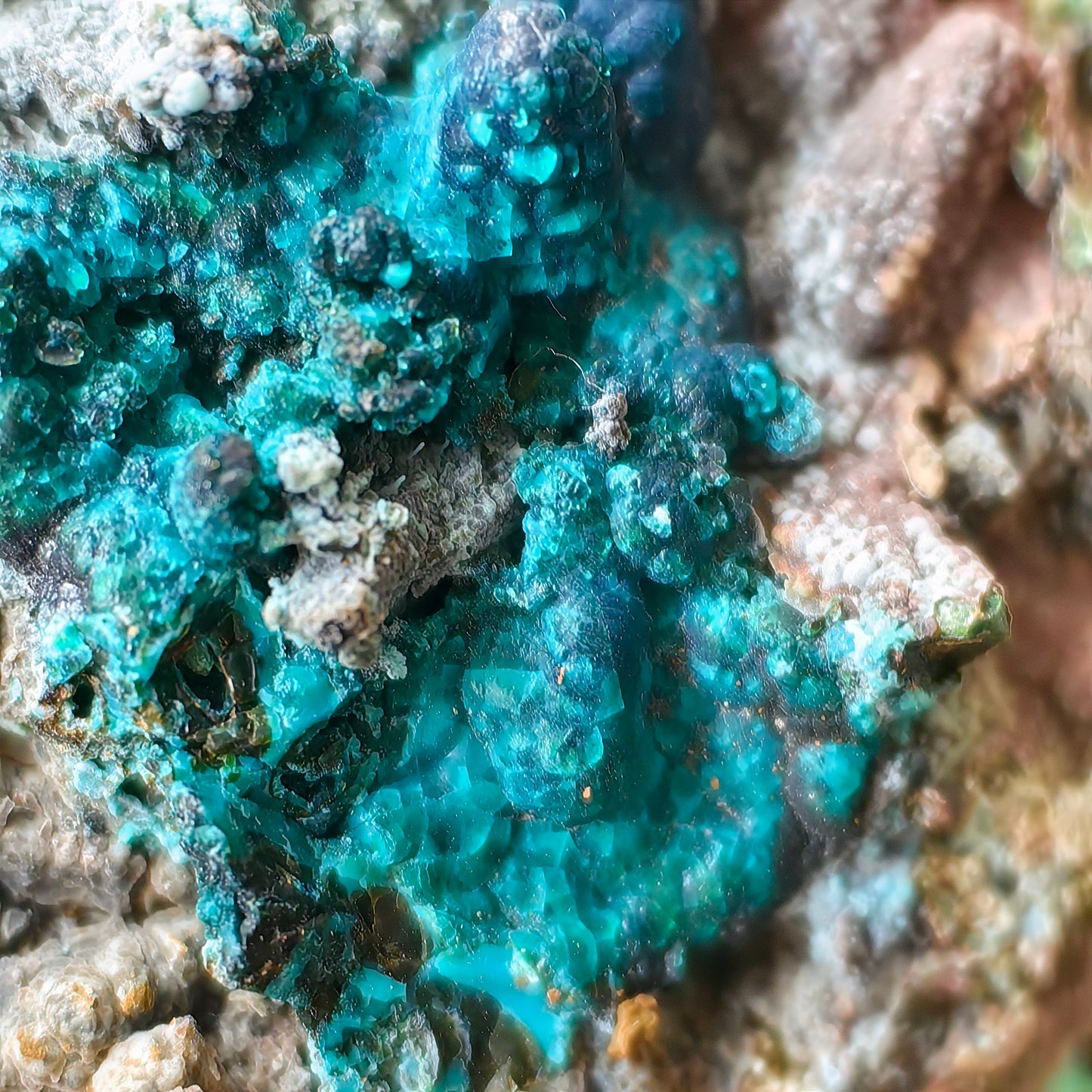 Chrysocolla on Quartz from mine tentadora