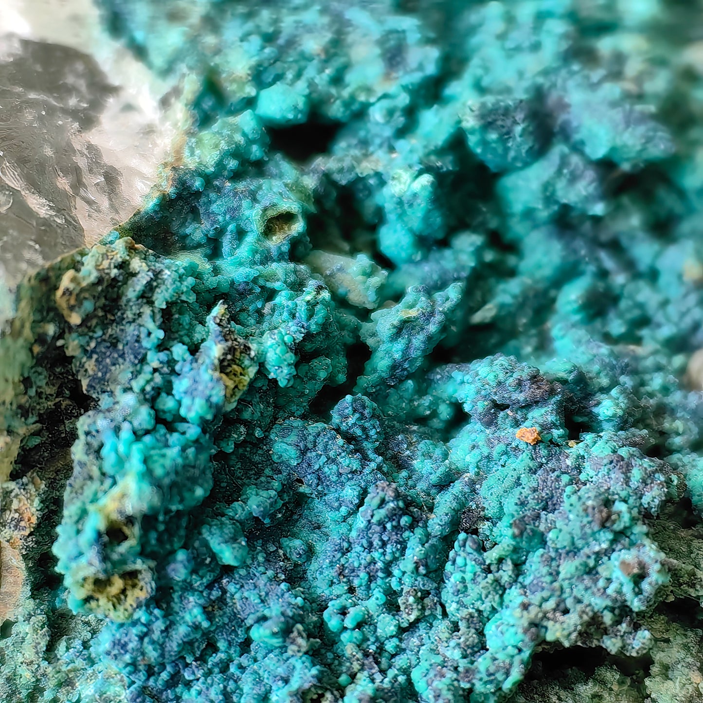 Chrysocolla on Quartz from mine tentadora