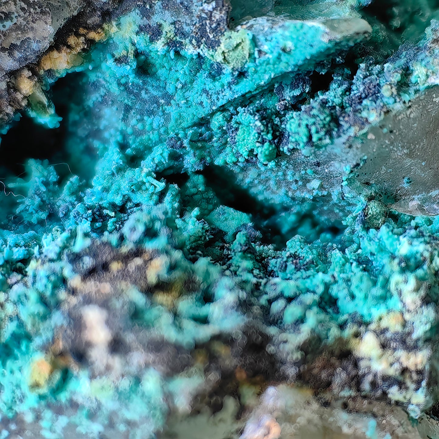 Chrysocolla on Quartz from mine tentadora