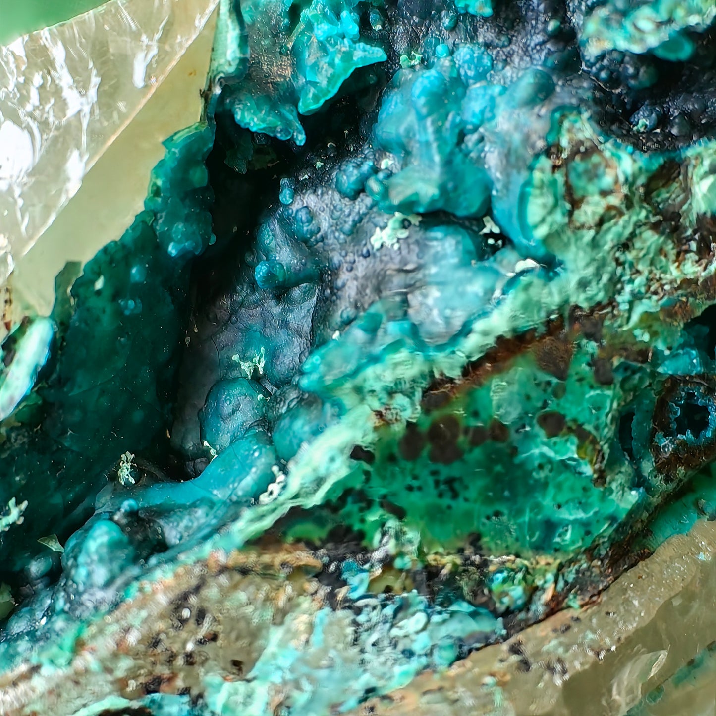 Chrysocolla on Quartz from mine tentadora