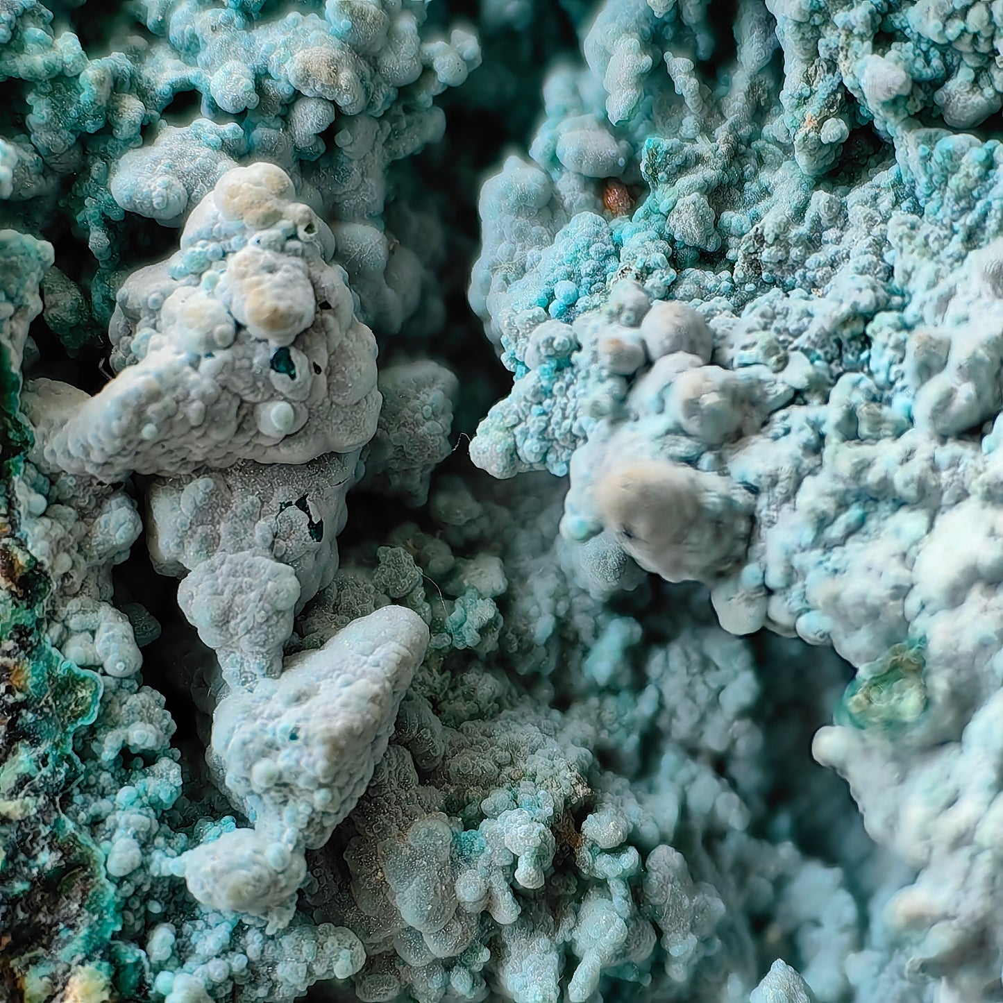 Chrysocolla on Quartz from mine tentadora