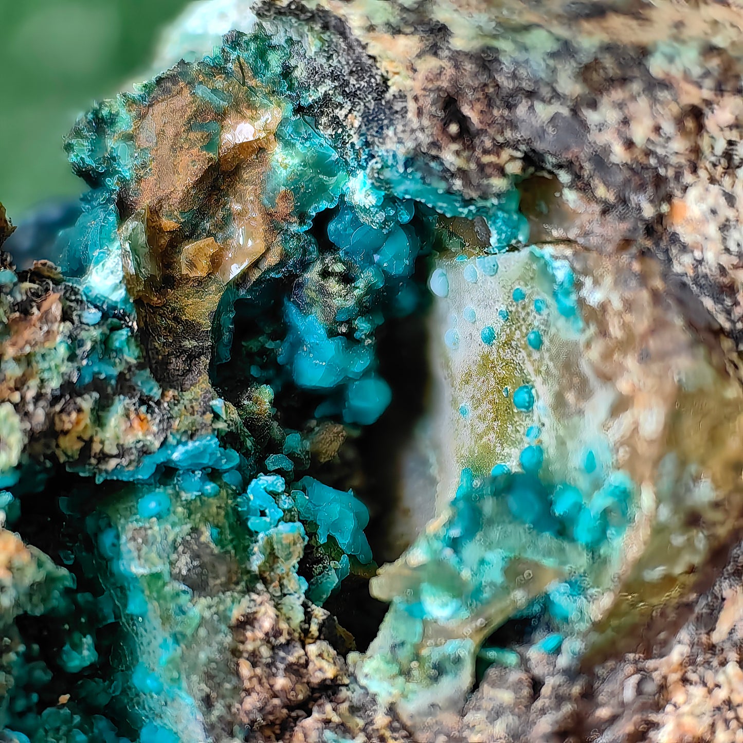Chrysocolla on Quartz from mine tentadora