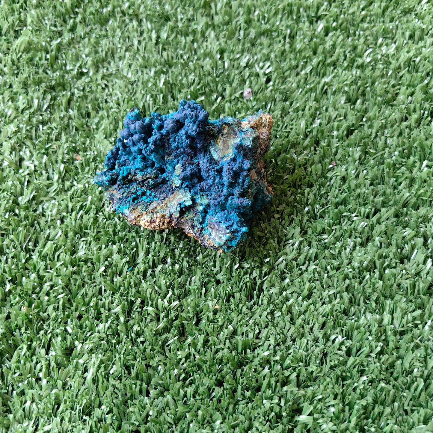 Chrysocolla on Quartz from mine tentadora