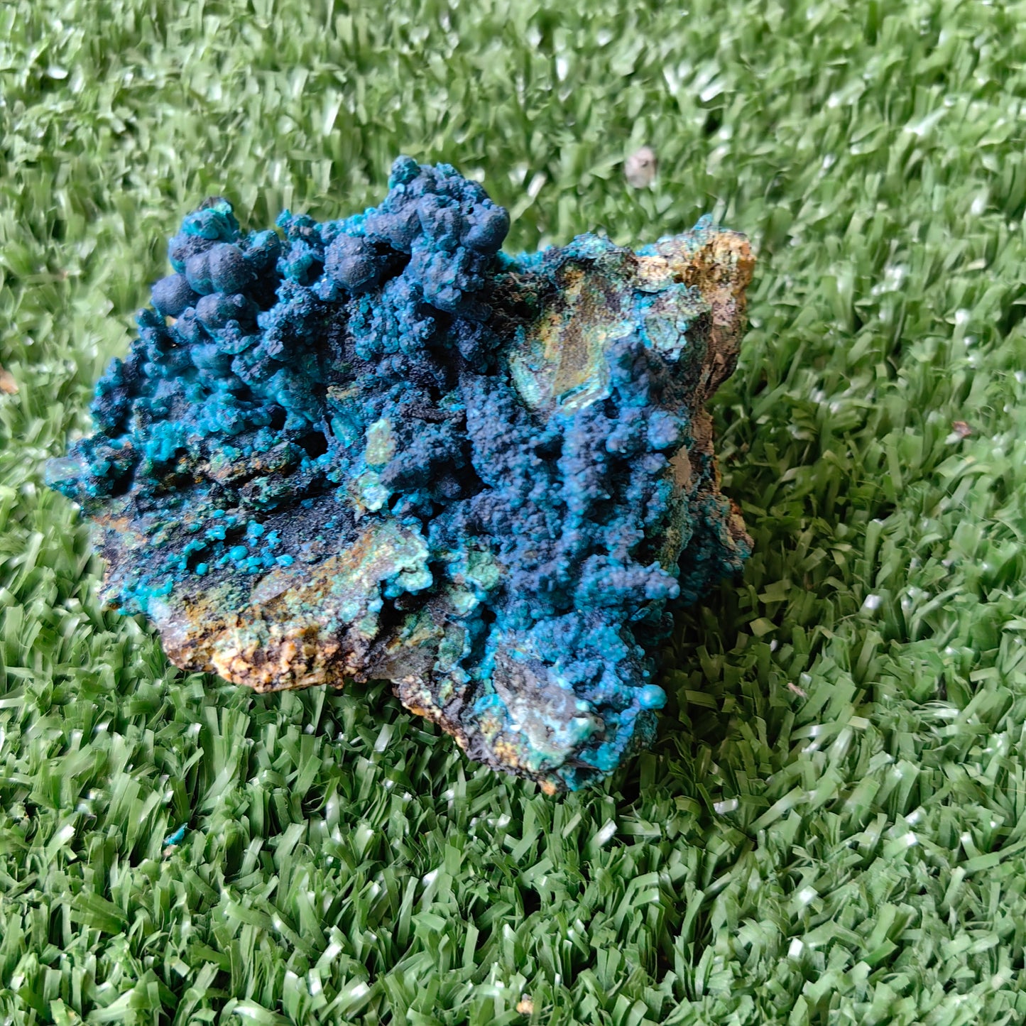 Chrysocolla on Quartz from mine tentadora