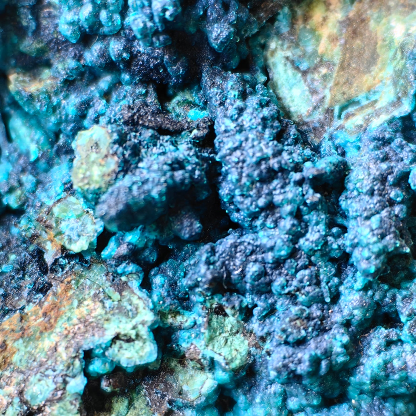 Chrysocolla on Quartz from mine tentadora