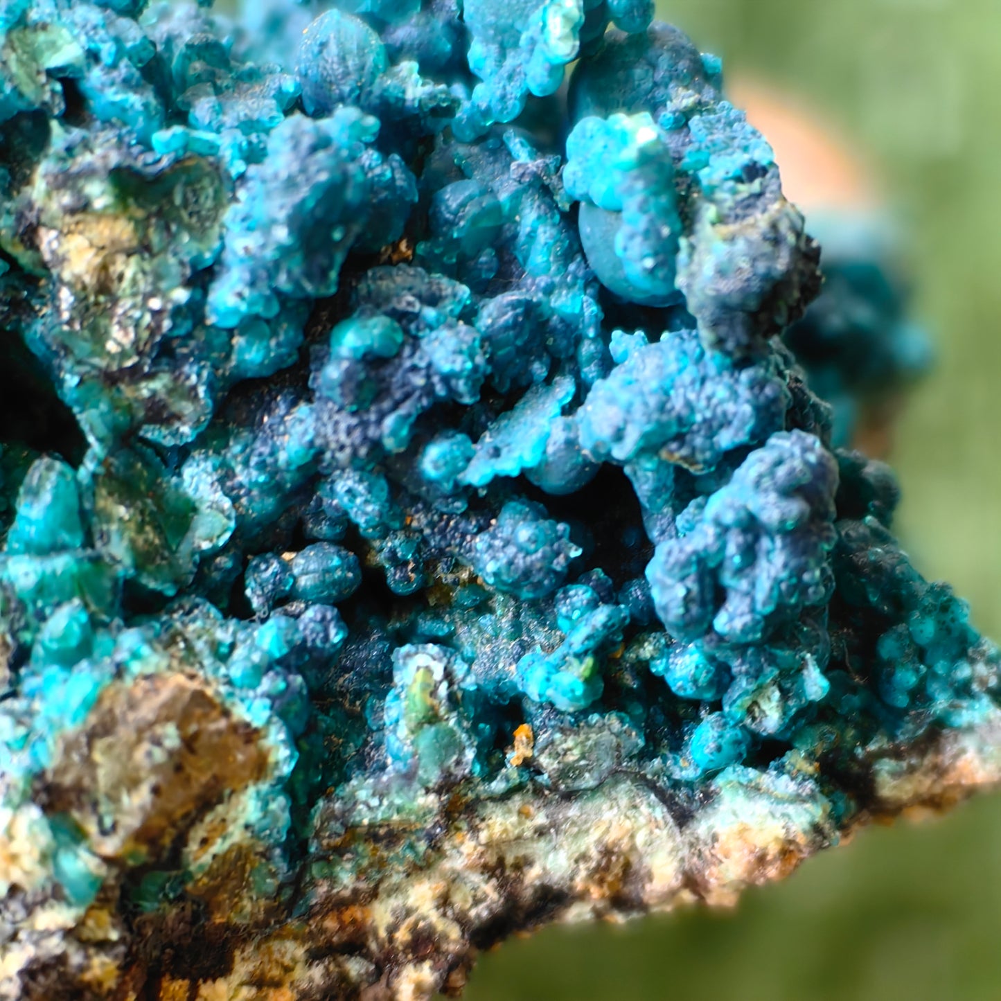 Chrysocolla on Quartz from mine tentadora