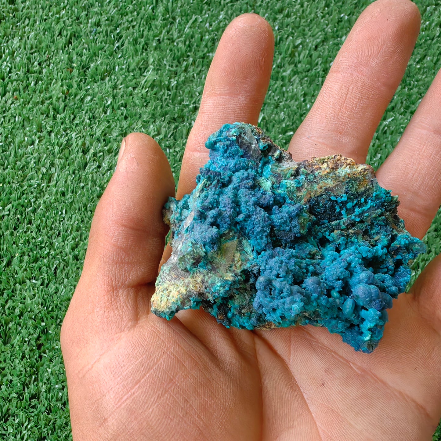 Chrysocolla on Quartz from mine tentadora