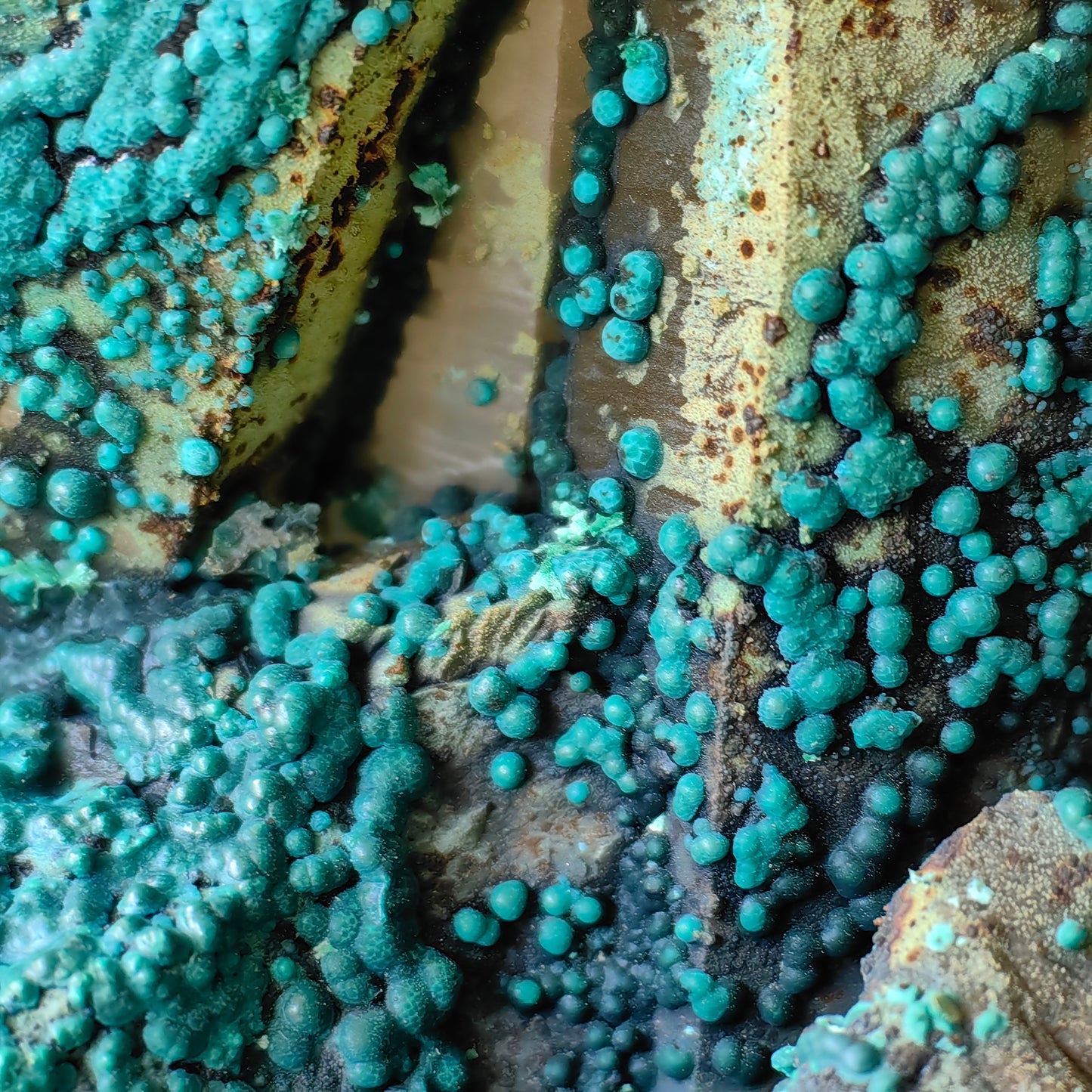 Chrysocolla on Quartz from mine tentadora