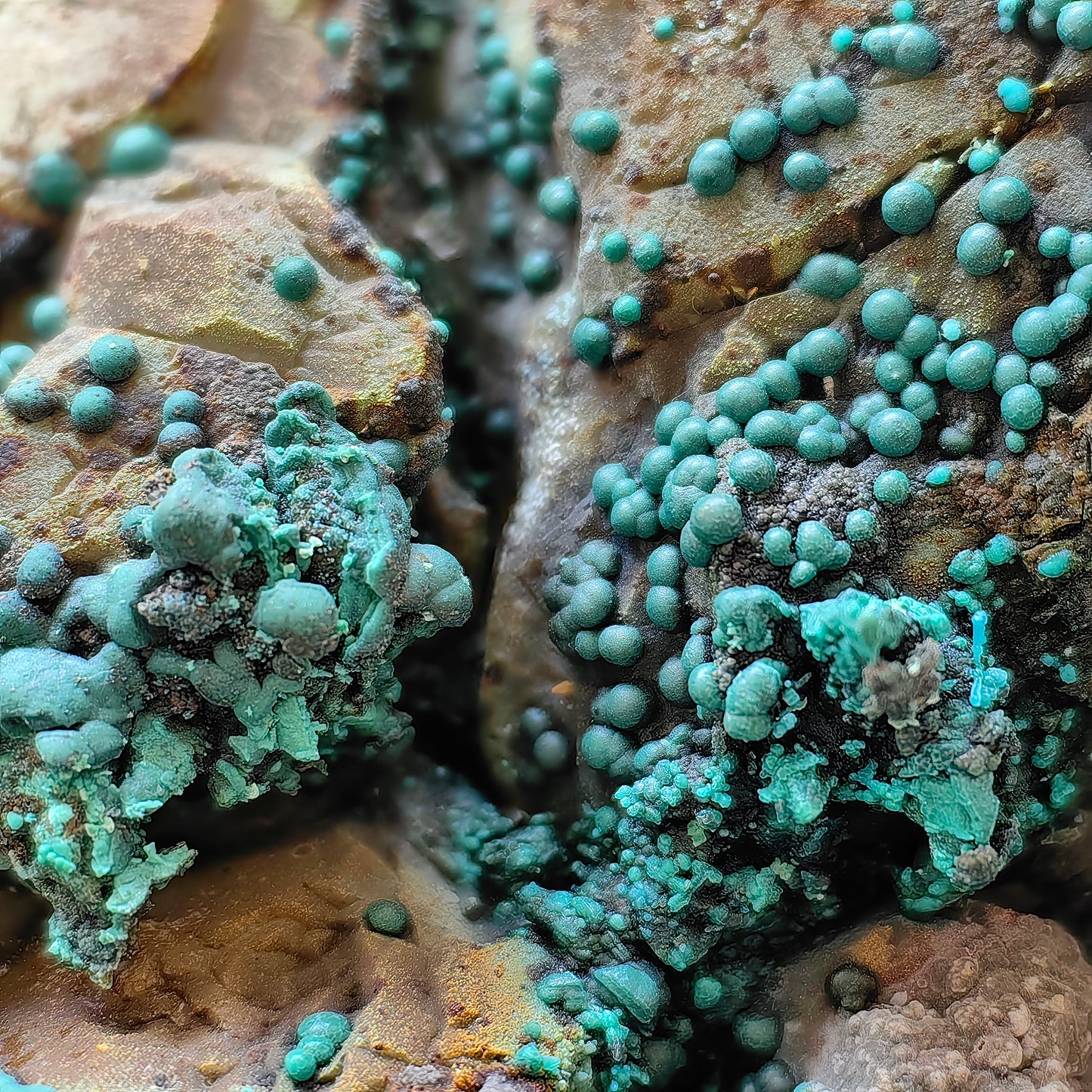 Chrysocolla on Quartz from mine tentadora