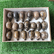 19 pc stramatolite skulls