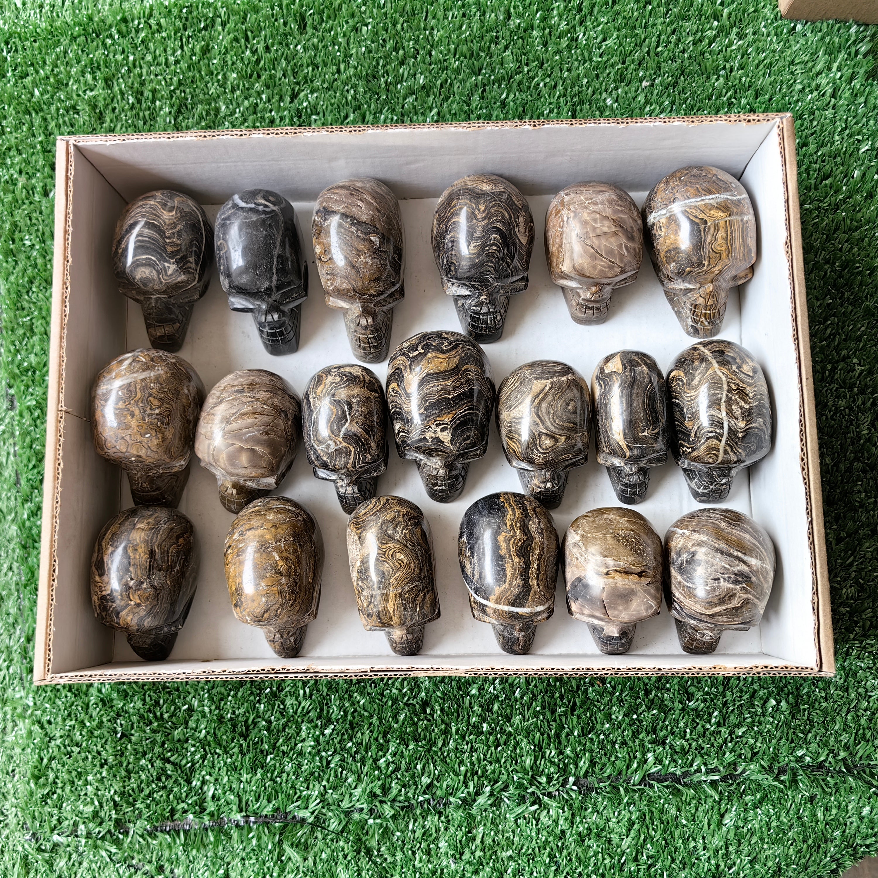 19 pc stramatolite skulls
