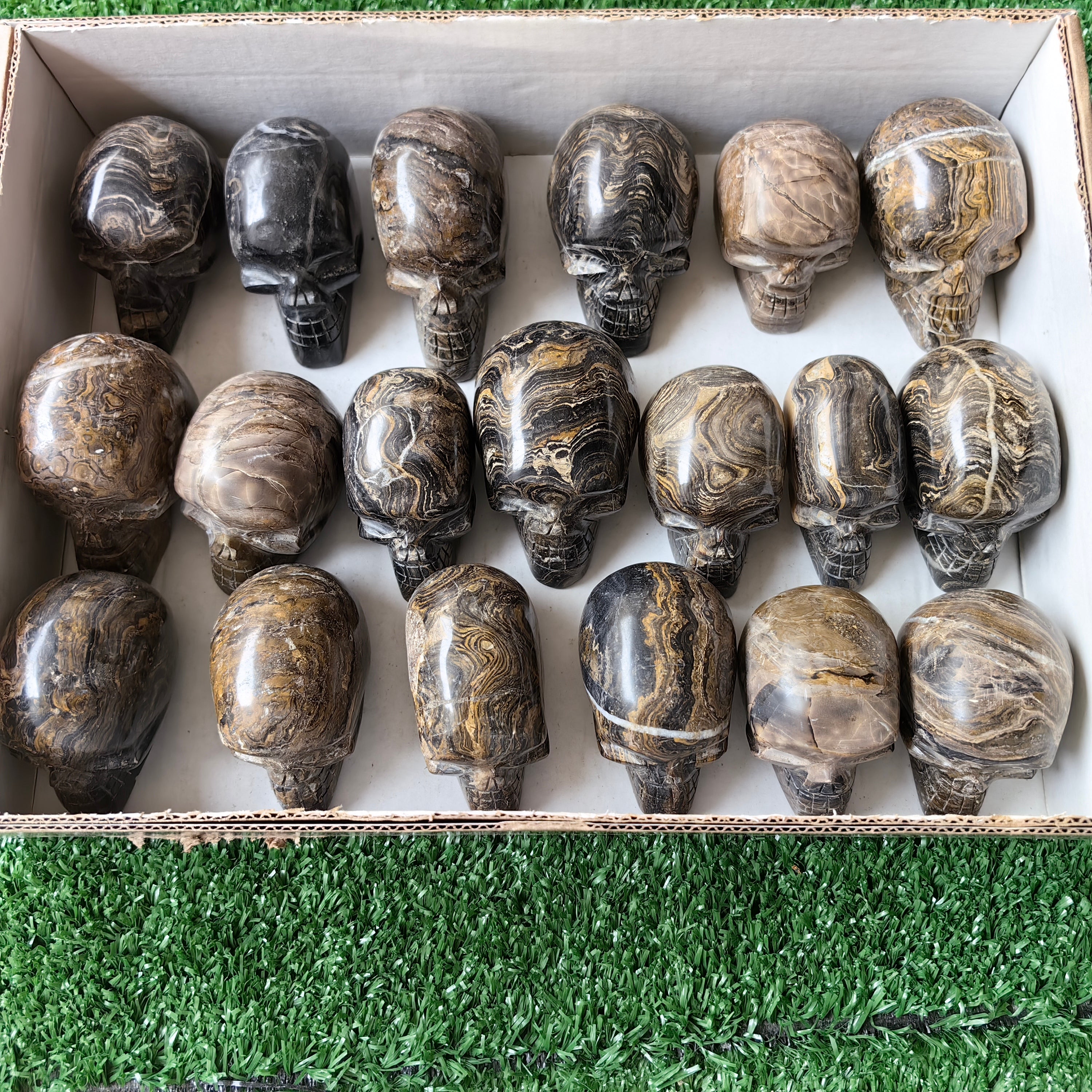 19 pc stramatolite skulls