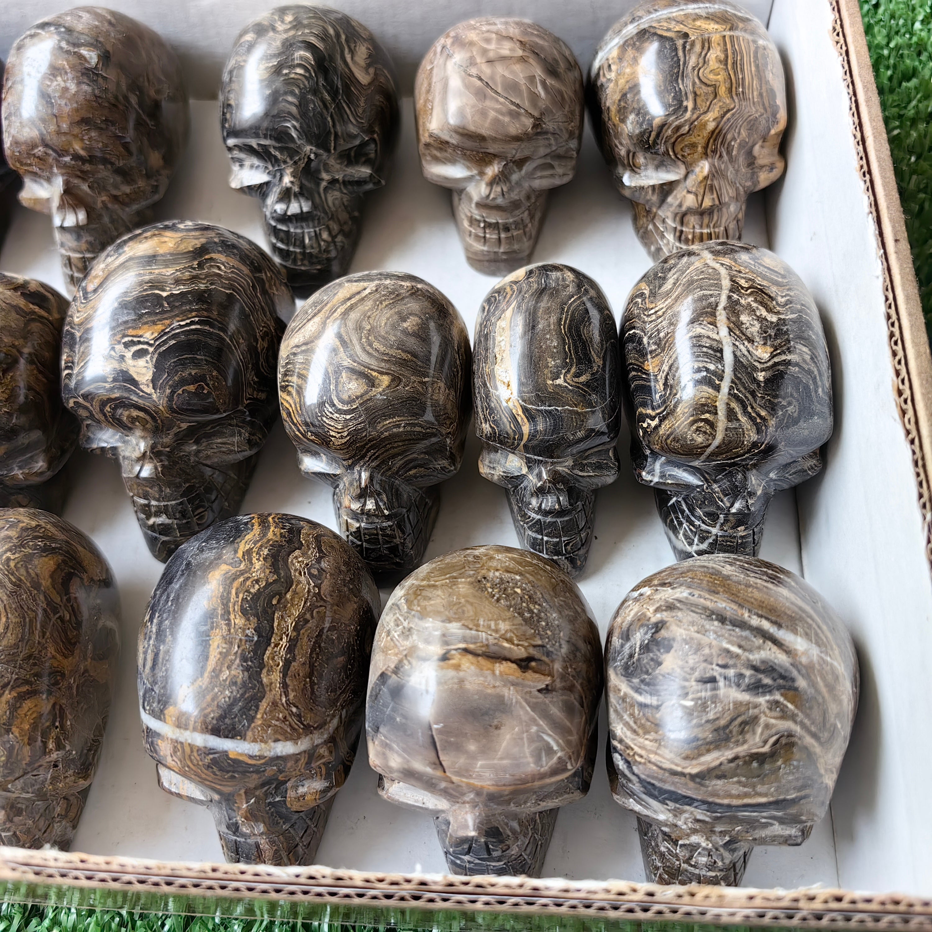 19 pc stramatolite skulls