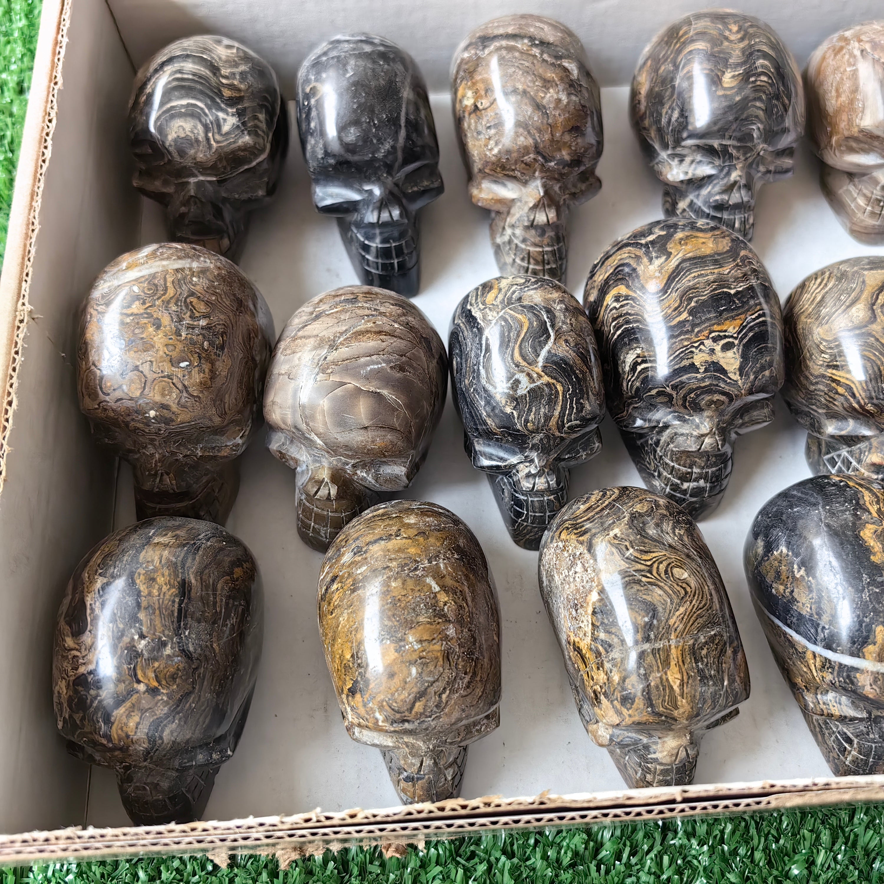 19 pc stramatolite skulls