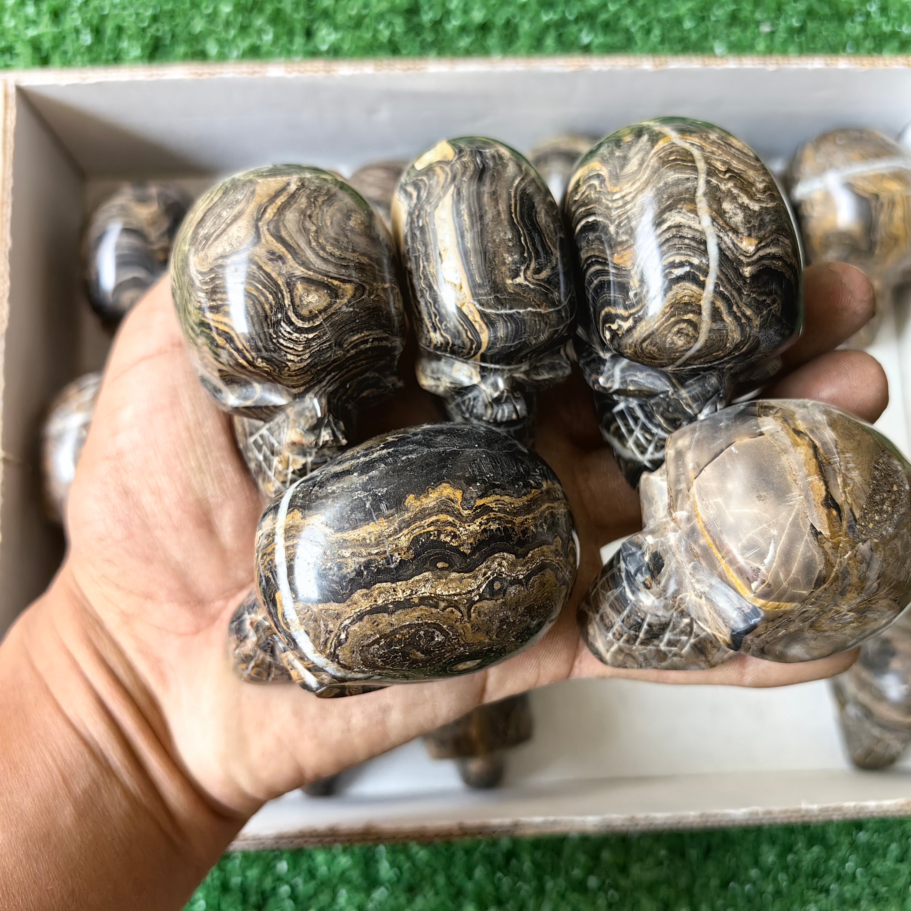 19 pc stramatolite skulls