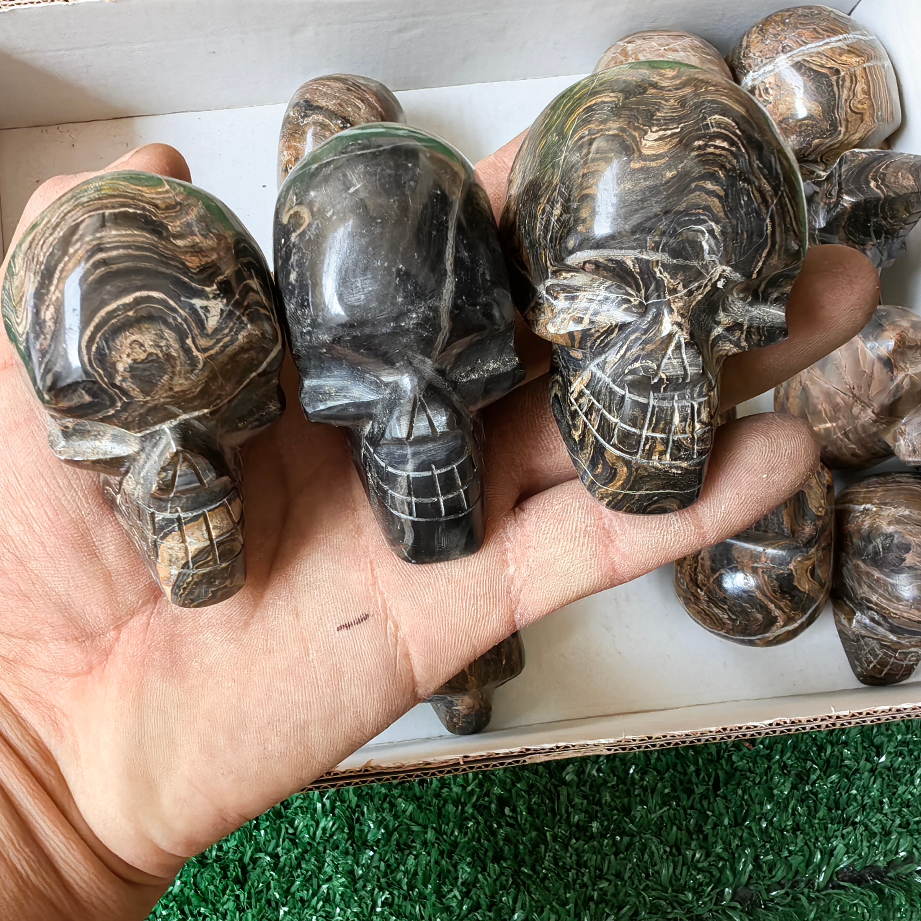 19 pc stramatolite skulls