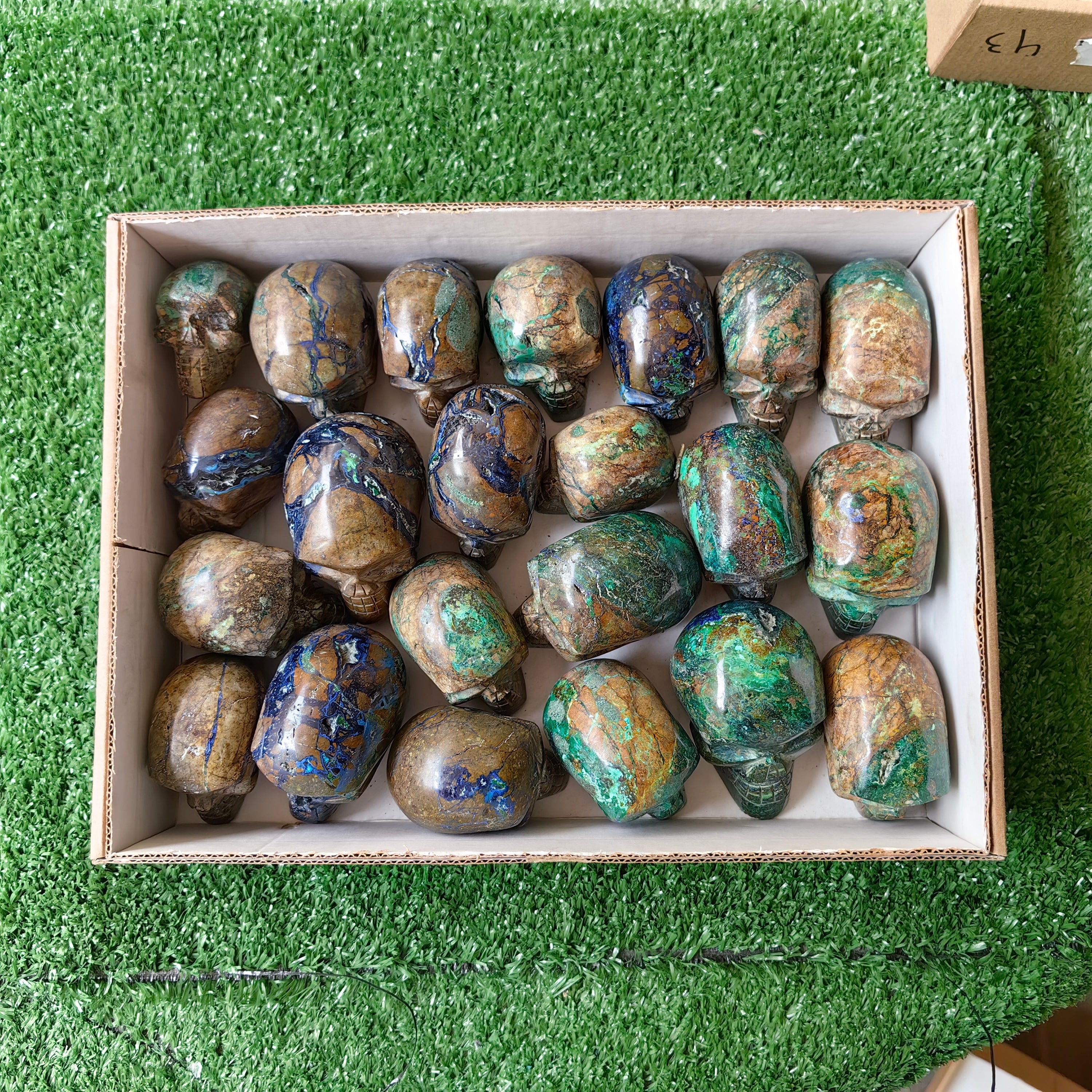 22 pc azurite with malachite skull