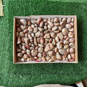 2.5 kg peruvian Rhodocrosite Tumbled