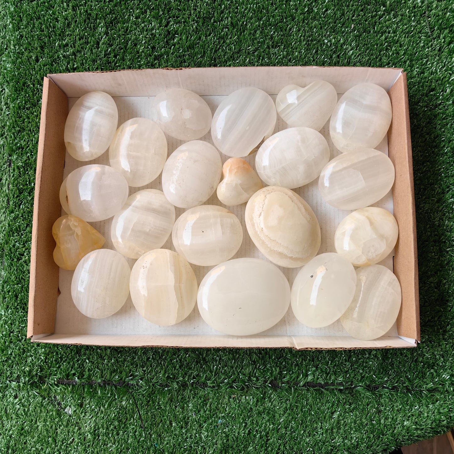 21 pc white onix palm & hearts