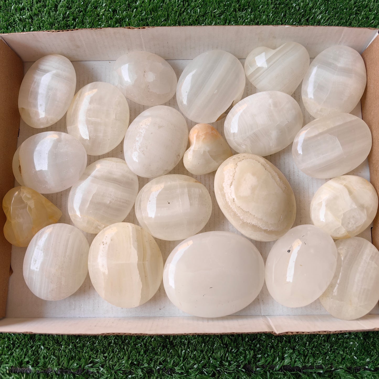 21 pc white onix palm & hearts