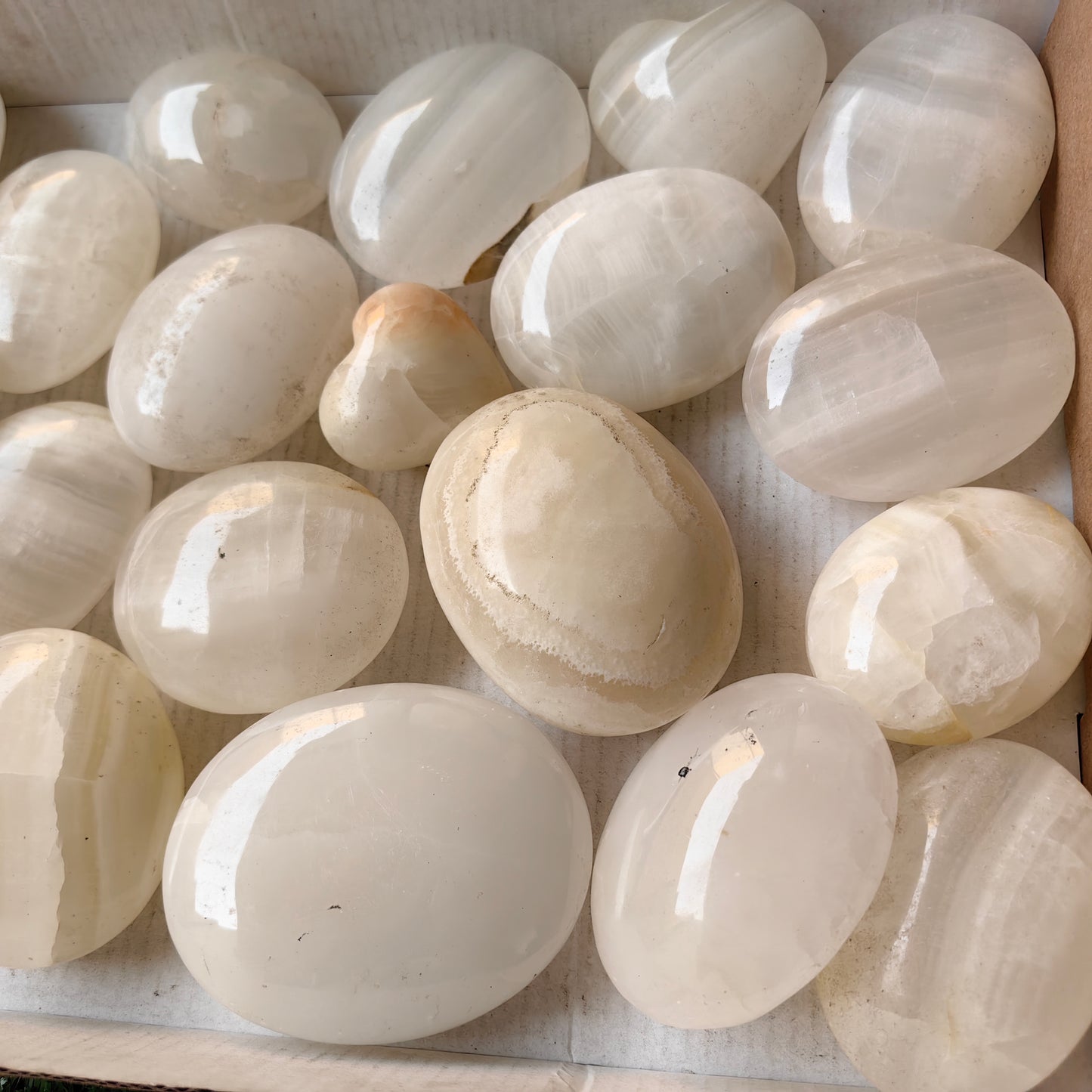 21 pc white onix palm & hearts