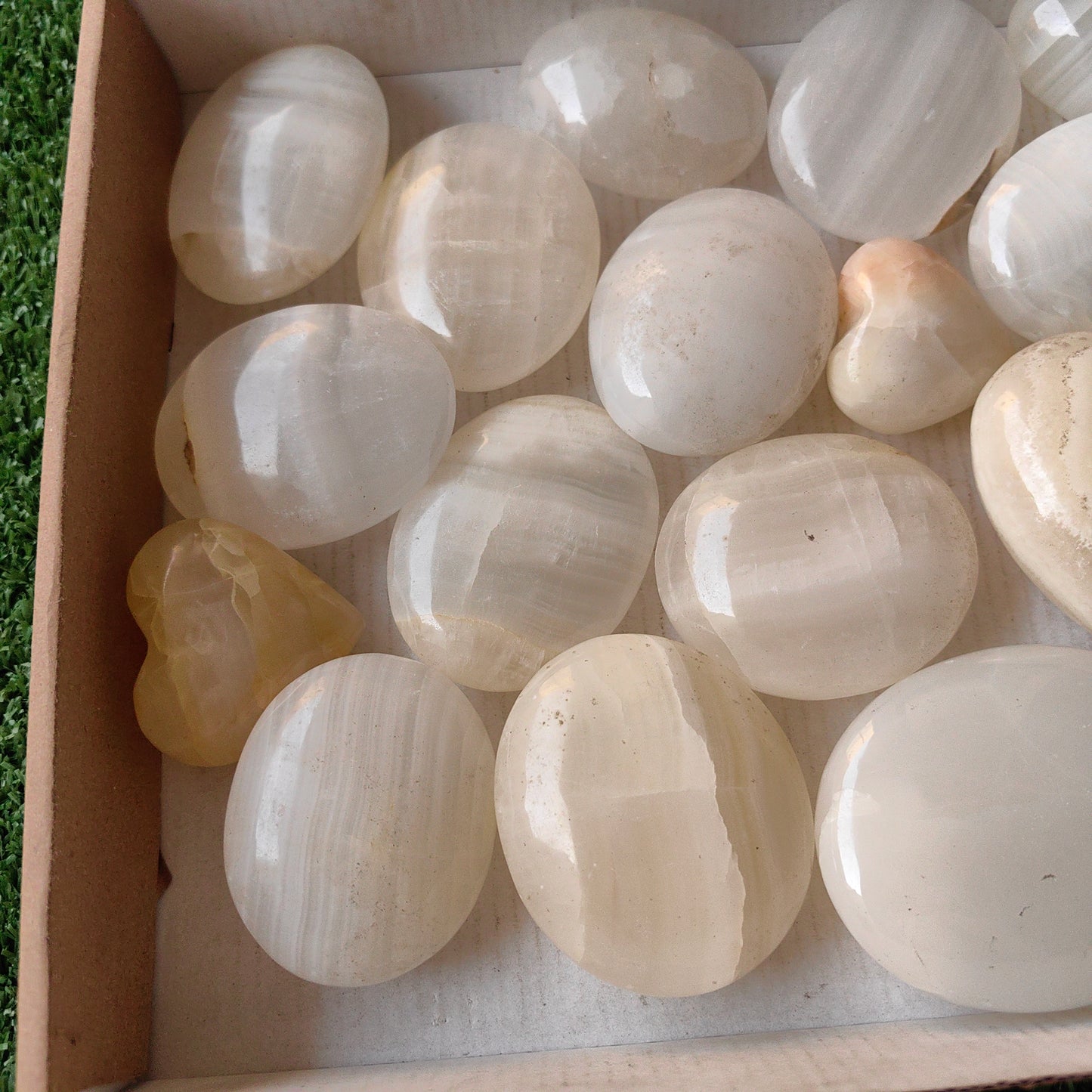 21 pc white onix palm & hearts