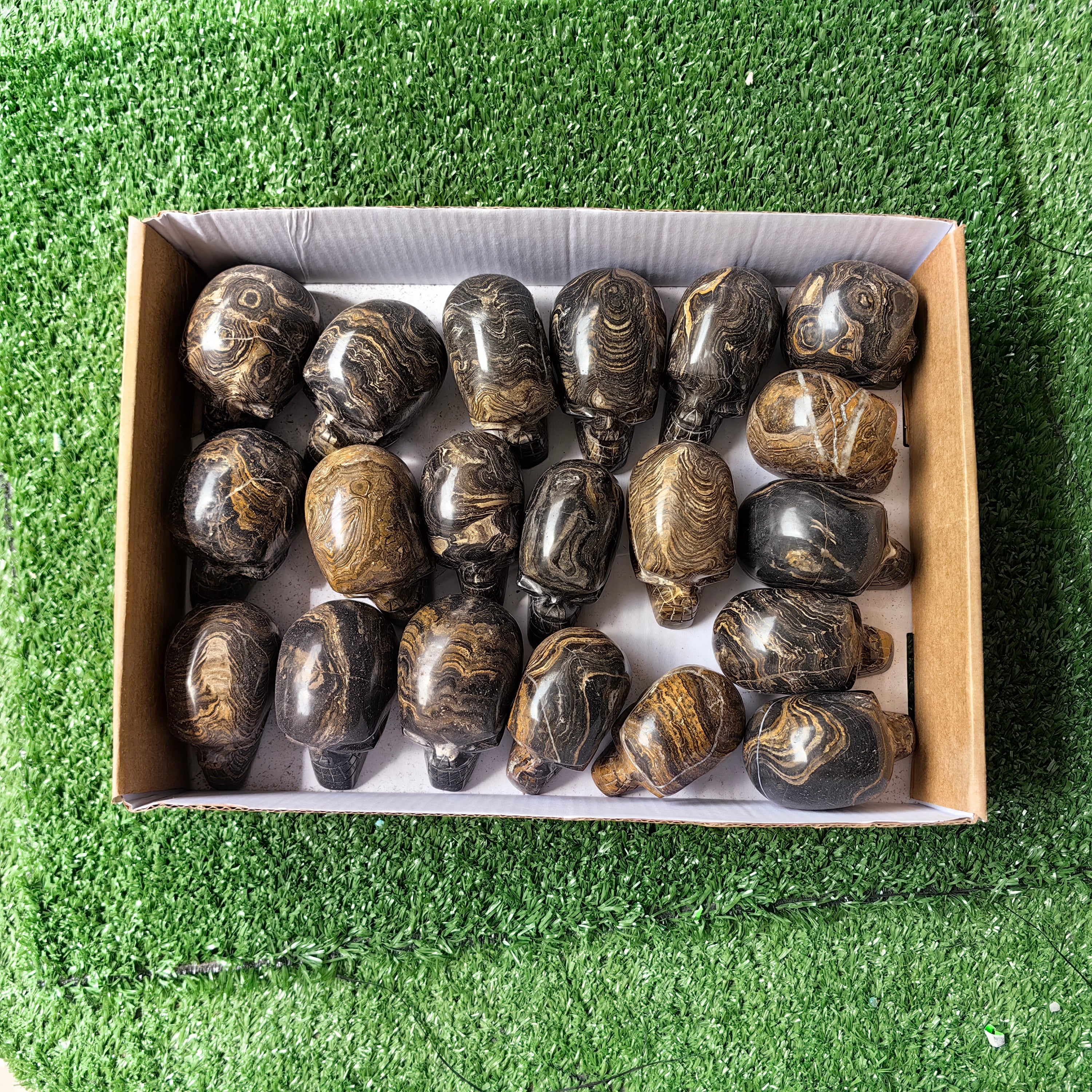 20 pc stramatolite skulls