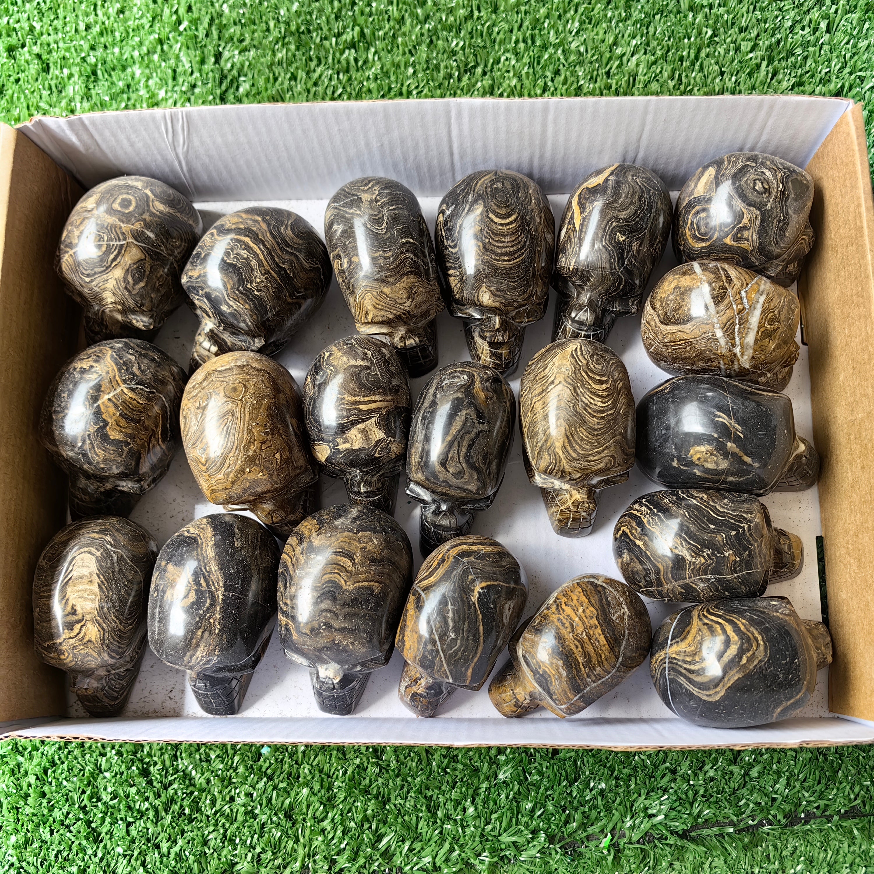 20 pc stramatolite skulls