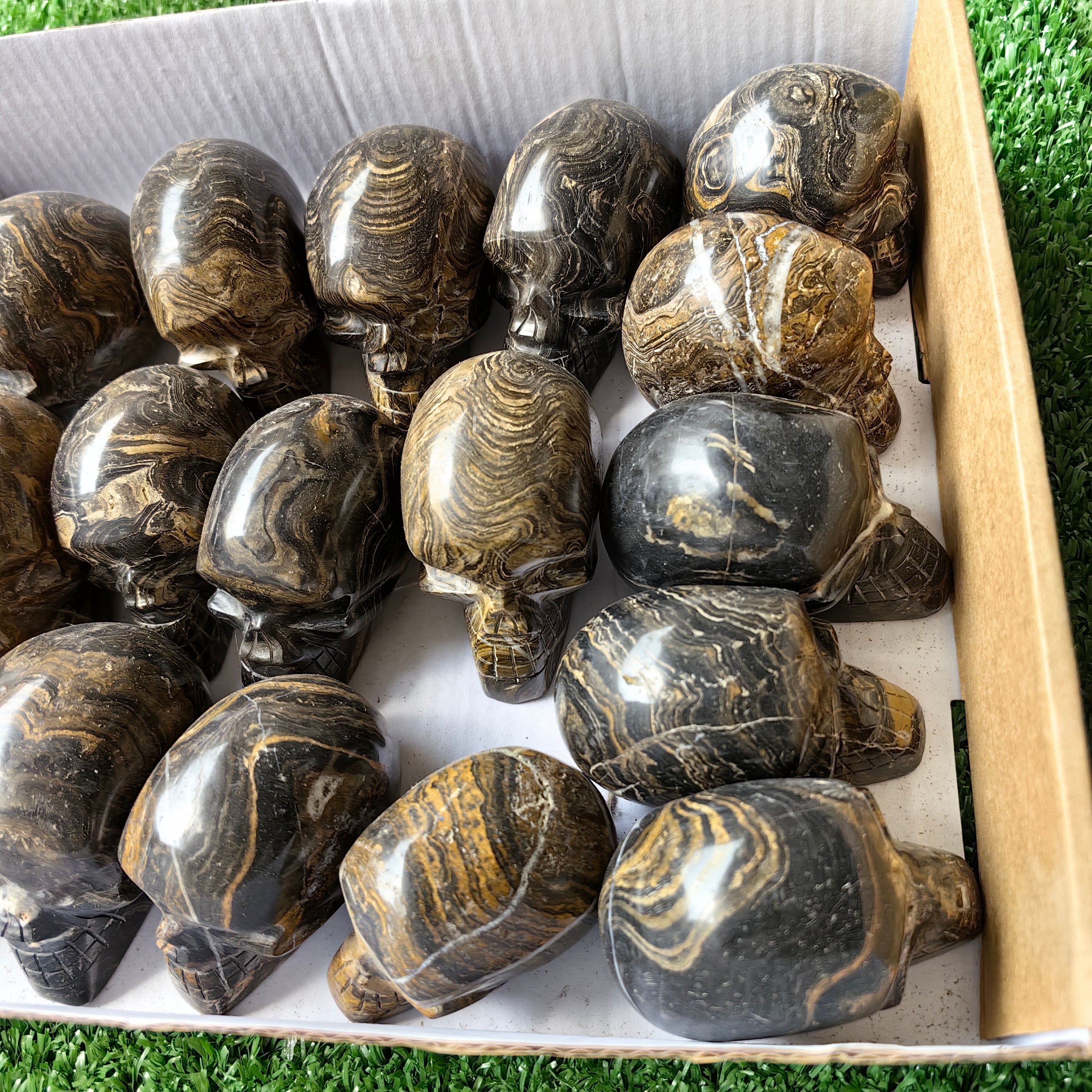 20 pc stramatolite skulls